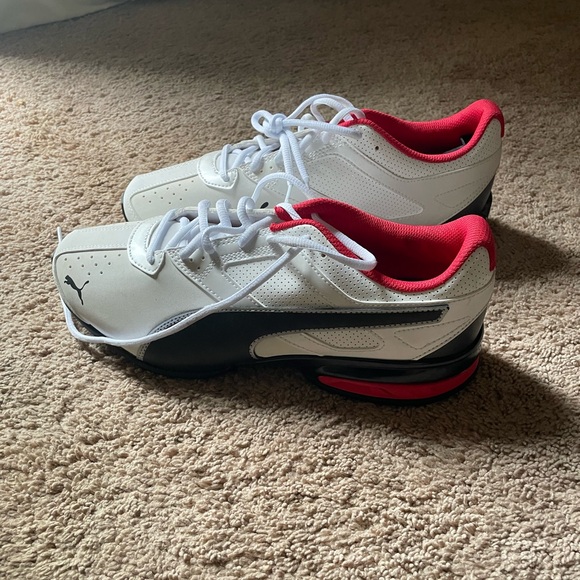 Pumas - Picture 1 of 6